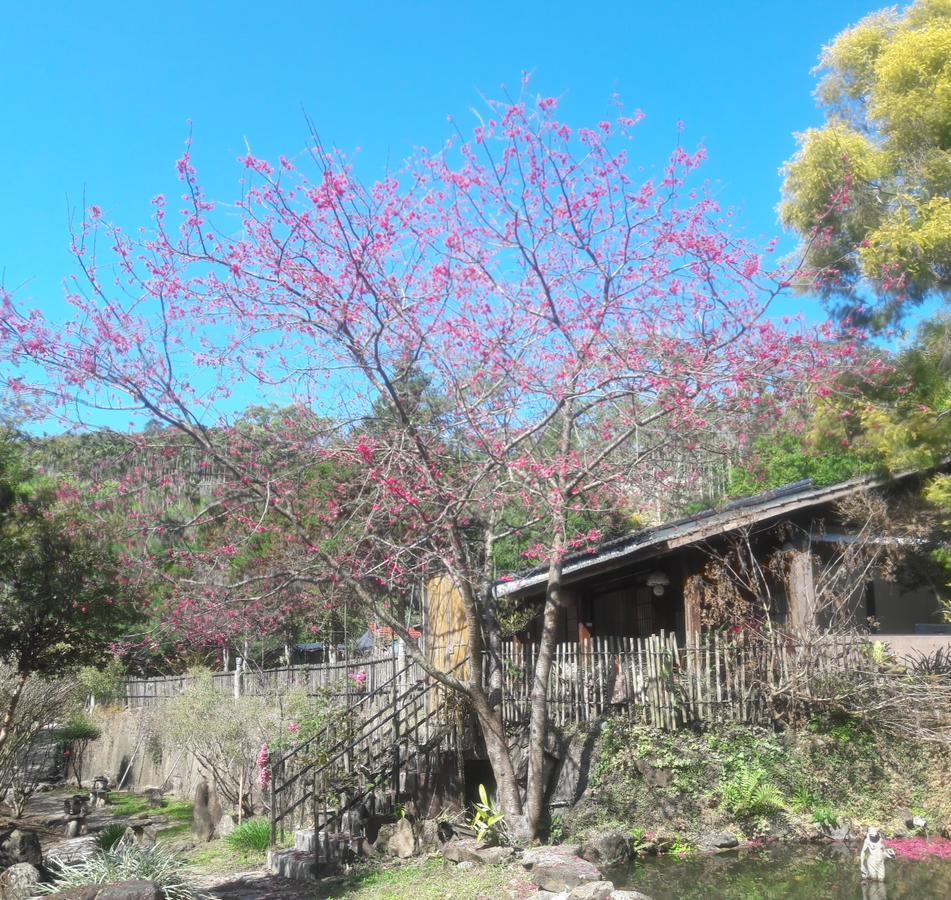 Bright Moon Homestay 東勢区 エクステリア 写真