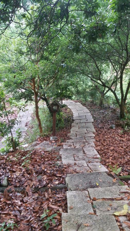 Bright Moon Homestay 東勢区 エクステリア 写真