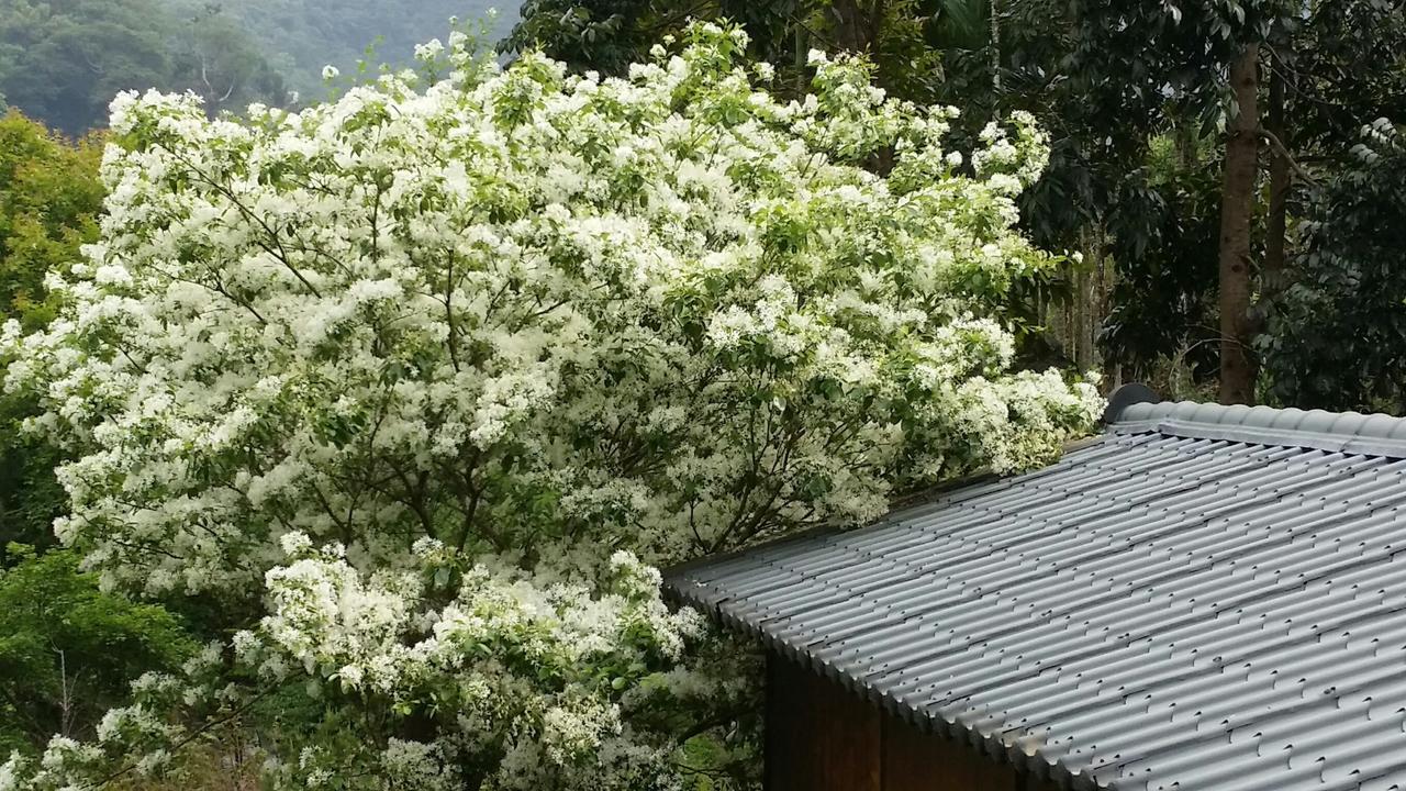 Bright Moon Homestay 東勢区 エクステリア 写真