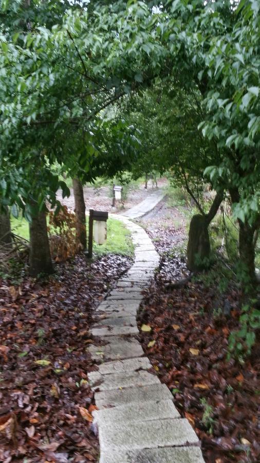 Bright Moon Homestay 東勢区 エクステリア 写真