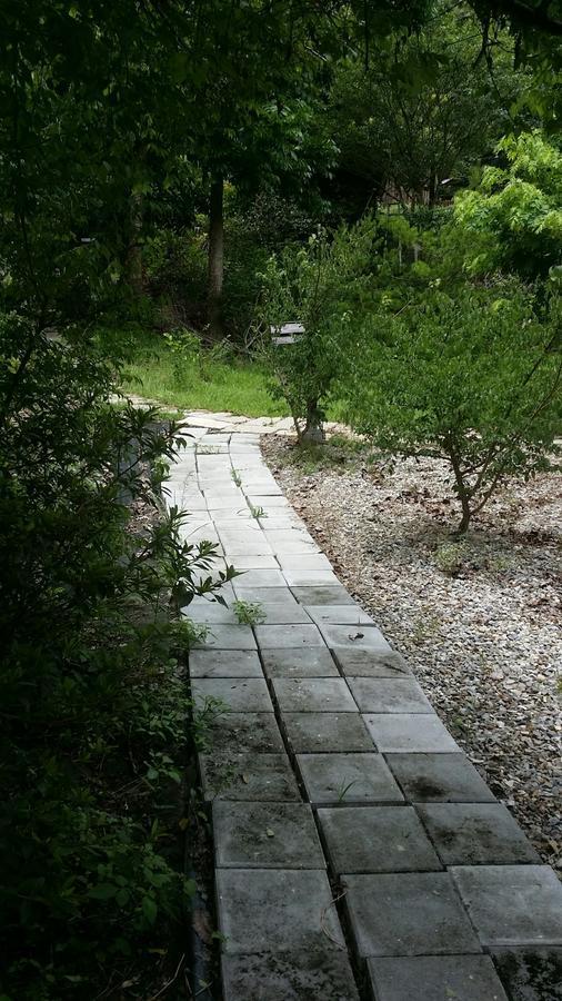 Bright Moon Homestay 東勢区 エクステリア 写真